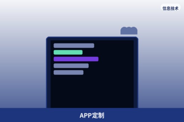 APP定制开发
